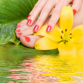 Eva Maria Pedicure